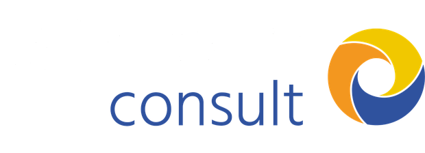 Win-Win Consult LTD Logo